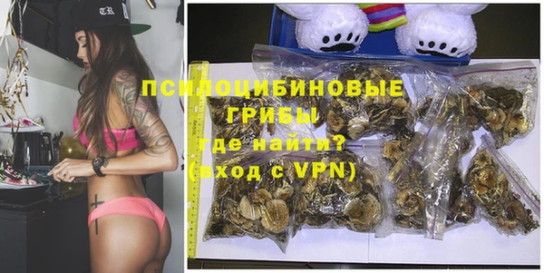 винт Елабуга