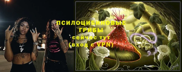 COCAINE Ельня
