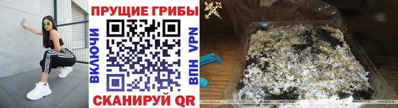 Купить где  Альметьевск  Галлюциногенные грибы ЛСД 